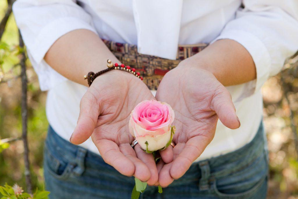 mani che tengono un fiore rosa