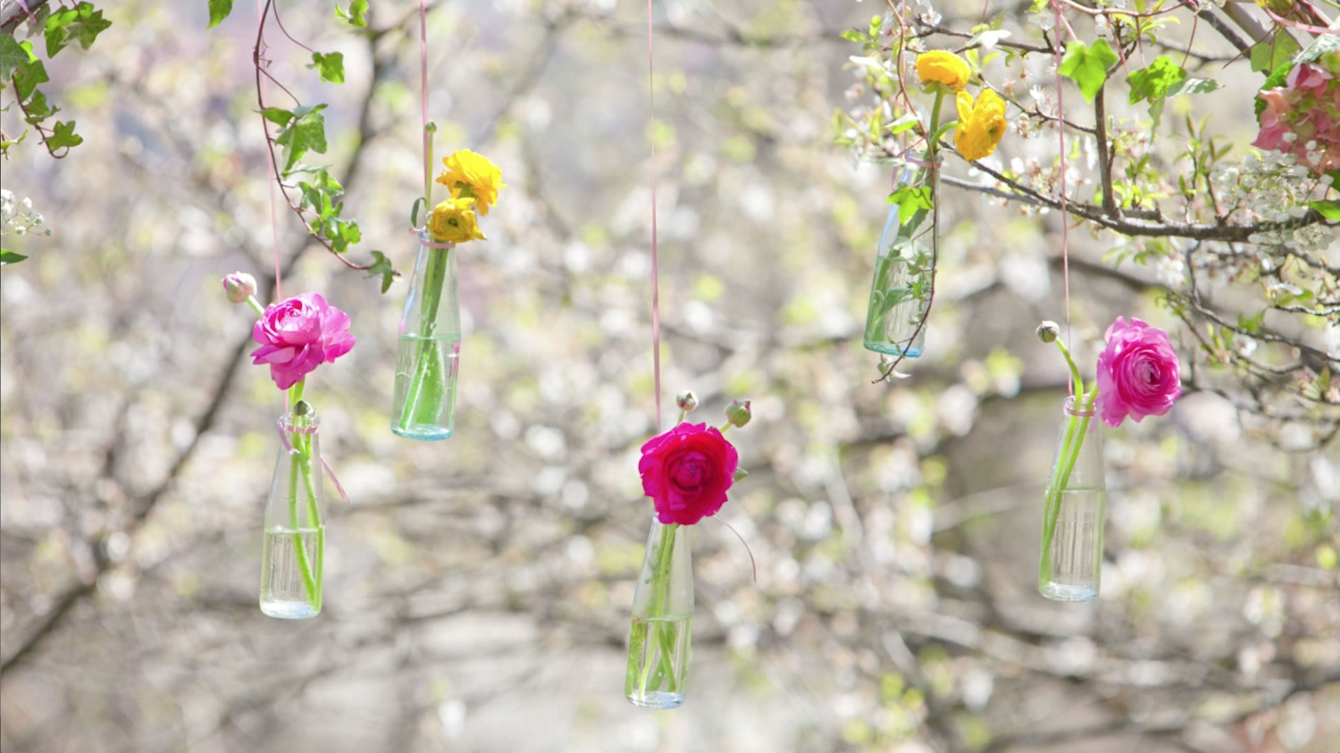foto artistica di fiori di colori diversi inserite dentro a bottiglie che pendono da rami di un albero
